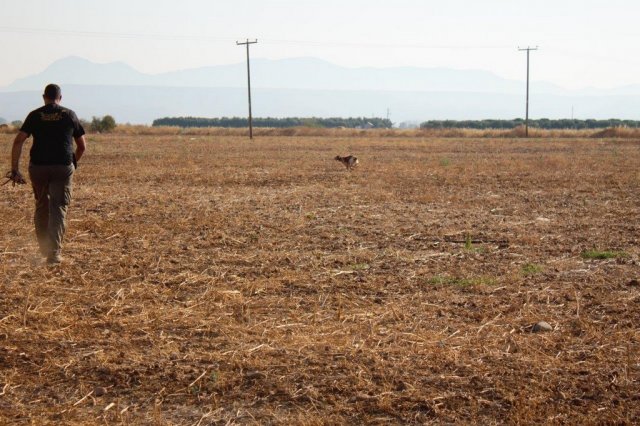 Αγωνες Α.Κ.Ι 18/6/2017